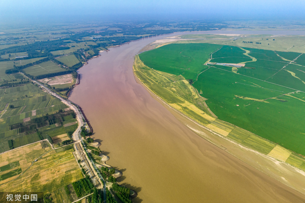 河南开封：黄河湾风景区农田葱绿