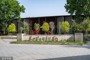 河南开封：黄河湾风景区农田葱绿