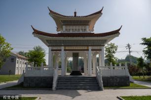 河南开封：黄河湾风景区农田葱绿