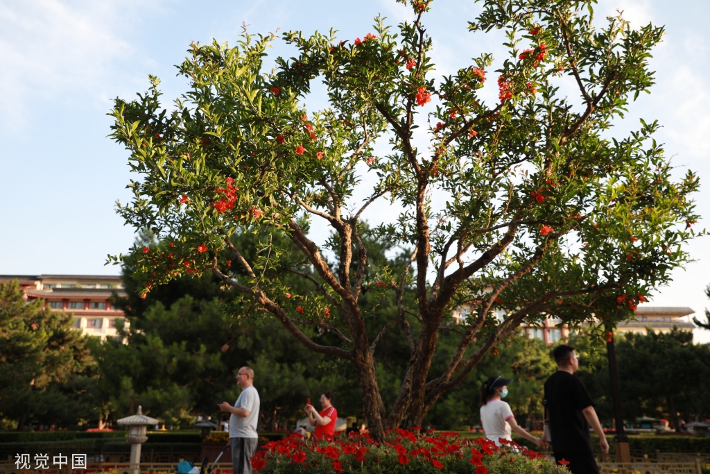 中国—中亚峰会将在西安举行 街头装扮一新