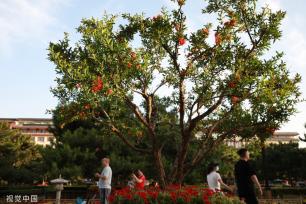 中国—中亚峰会将在西安举行 街头装扮一新