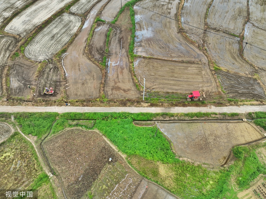 小满时节 农民抢抓农时进行劳作