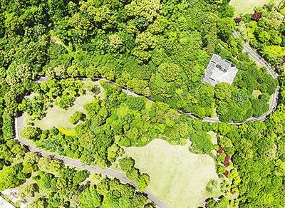 
江苏省中医院黄煌的号黄牛代挂号电话票贩子号贩子网上预约挂号,住院检查加快,我见青山多妩媚（侨乡新貌）