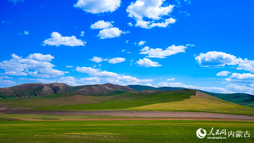内蒙古呼伦贝尔：草原返青景色美