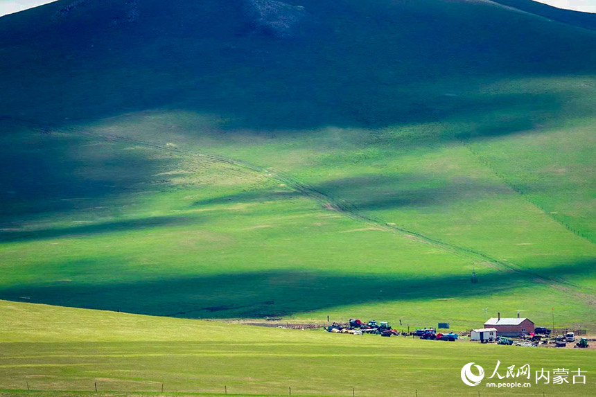 内蒙古呼伦贝尔：草原返青景色美
