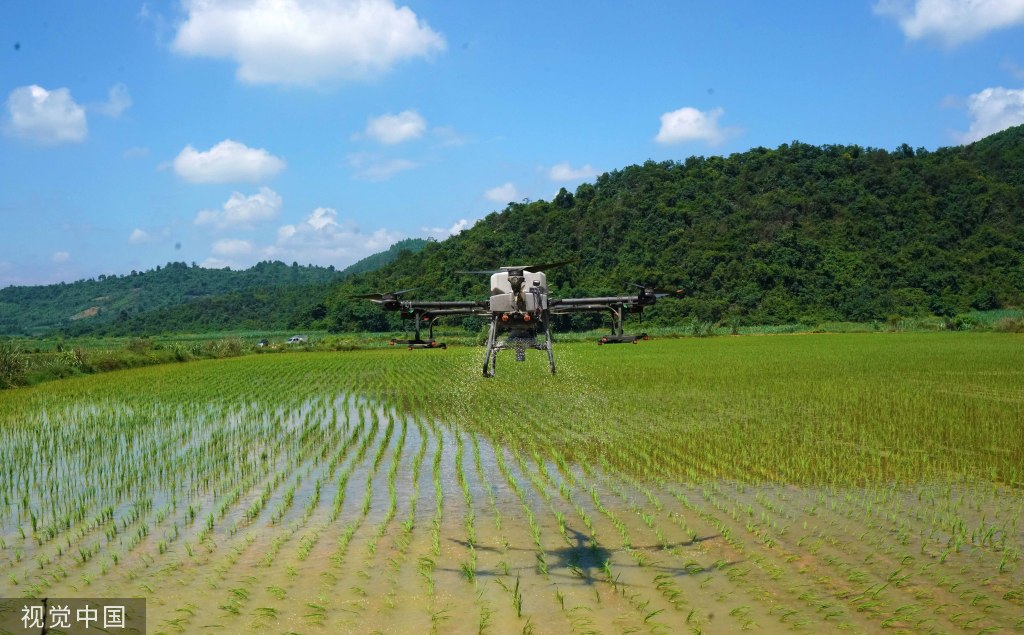 夏收夏种呈现“新农景” 确保丰产丰收