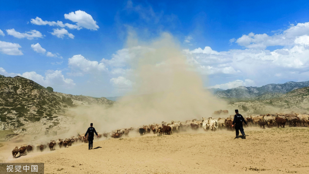 新疆阿勒泰：民警组成护牧小分队 助力牲畜转场