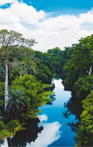 
北京肿瘤医院黄牛代挂号电话票贩子号贩子网上预约挂号,住院检查加快,逛国家公园看动物世界（国家人文地理）