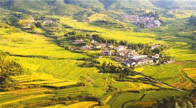 
江苏省中医院黄牛代挂号电话票贩子号贩子网上预约挂号,住院检查加快,宁都“三宝”（行天下）