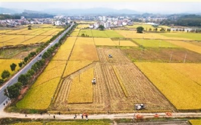 
江苏省中医院黄牛代挂号电话票贩子号贩子网上预约挂号,住院检查加快,宁都“三宝”（行天下）