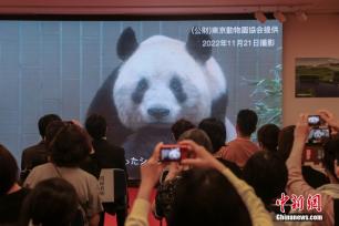 大熊猫“香香”生日会在日本东京举办