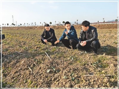 
首都医科大学附属北京朝阳医院黄牛代挂号电话票贩子号贩子网上预约挂号,住院检查加快,“菜篮子”拎出“智慧范儿”