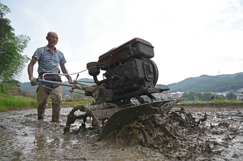 三夏时节 江西上饶农事忙