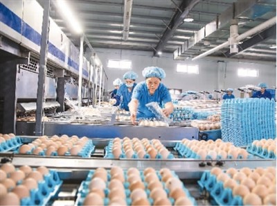 
杭州市儿童医院黄牛代挂号电话票贩子号贩子网上预约挂号,住院检查加快,不可忽视的沙门氏菌（健康直通车（第117站））