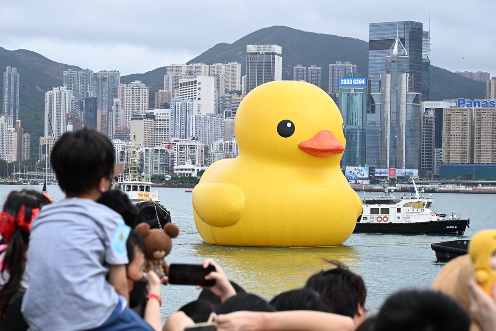 香港“小黄鸭”维港巡游提前结束展览