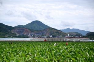 江西上饶农民夏管农事忙 为增产增收打好基础