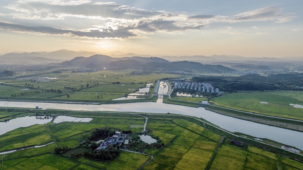 江西新干：水渠相连 保丰收