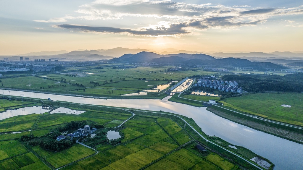 江西新干：水渠相连 保丰收
