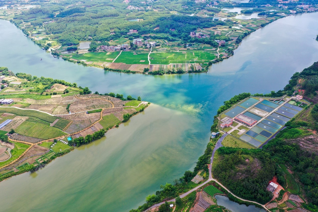 广西南宁邕江源现“鸳鸯江”景观