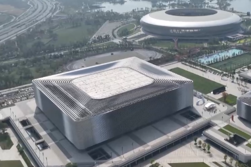 海外侨领共话成都大运会：为世界打开一扇了解成都的窗口