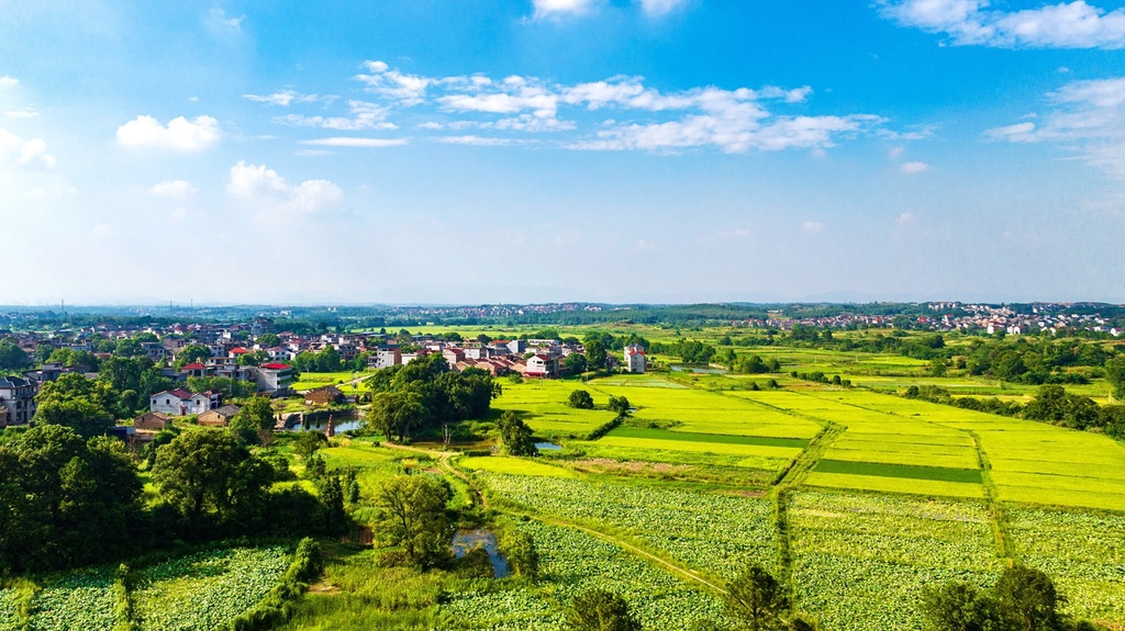 江西吉水：立体种养助力乡村振兴