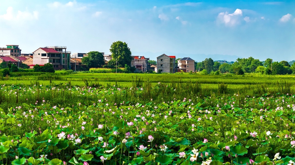江西吉水：立体种养助力乡村振兴