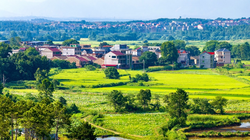 江西吉水：立体种养助力乡村振兴