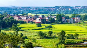 江西吉水：立体种养助力乡村振兴