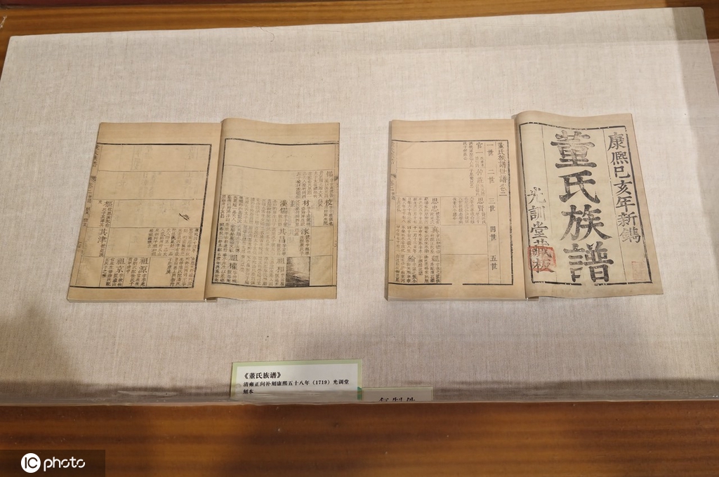 湖北武汉举办首届华夏晒谱节