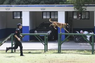 长沙民警开展夏日警犬训练