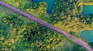 杭州亚运会公路自行车赛道沿湖绿树成荫