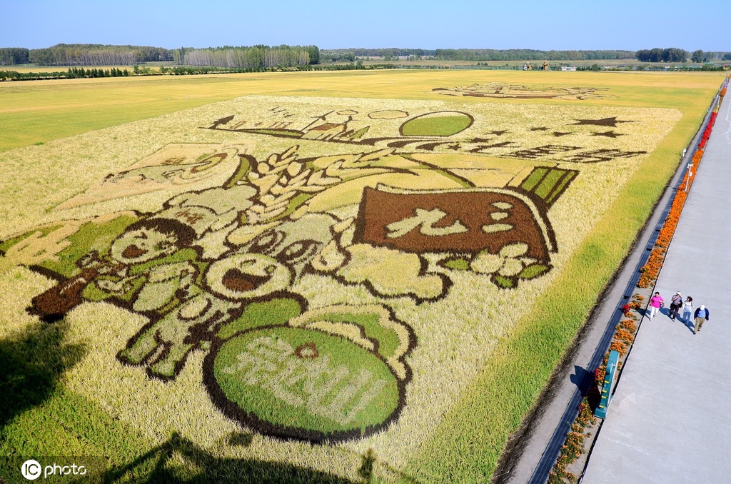 秋收时节 黑龙江哈尔滨田园“丰”光美如画