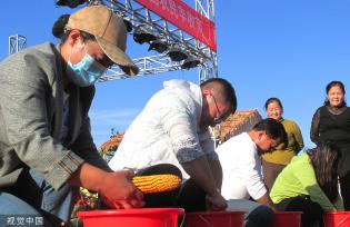 新疆塔城：农民丰收节将至 村民参与庆祝活动