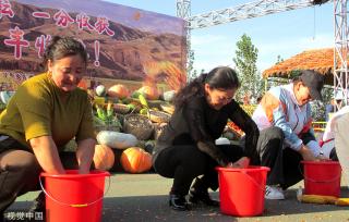 新疆塔城：农民丰收节将至 村民参与庆祝活动