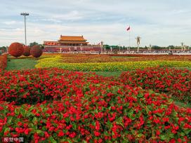 北京：天安门广场装扮一新 花团锦簇喜迎国庆