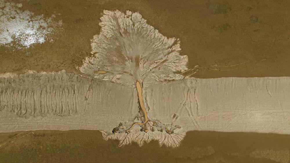 西藏阿里：巧夺天工的“大地之树”
