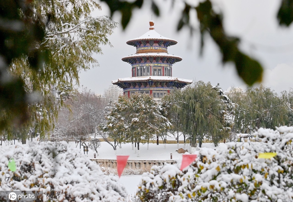 雪后长春银装素裹冬韵十足