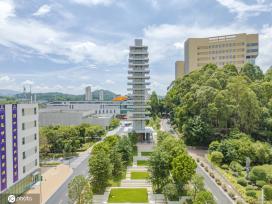 香港中文大学（深圳）明年起开始招收港澳台学生