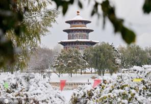 雪后长春银装素裹冬韵十足