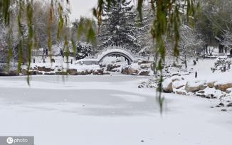 雪后长春银装素裹冬韵十足