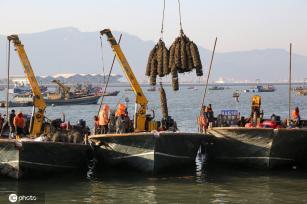 江苏连云港牡蛎丰收渔民卸运忙
