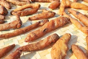 山东泰安：万亩黄精集中收获