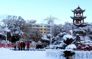 新疆塔城：大雪压枝头 银装素裹宛如童话世界