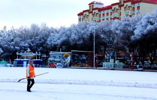 新疆塔城：大雪压枝头 银装素裹宛如童话世界