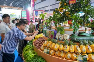 第26届中国（海南）国际热带农产品冬季交易会开幕