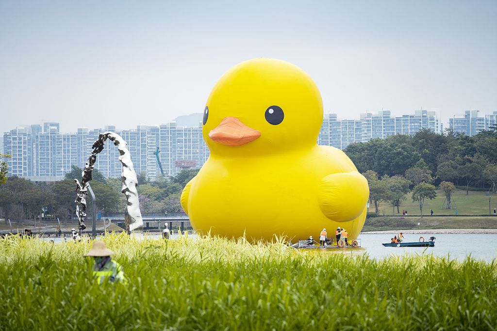 公共艺术作品《大黄鸭》亮相深圳湾深圳人才公园