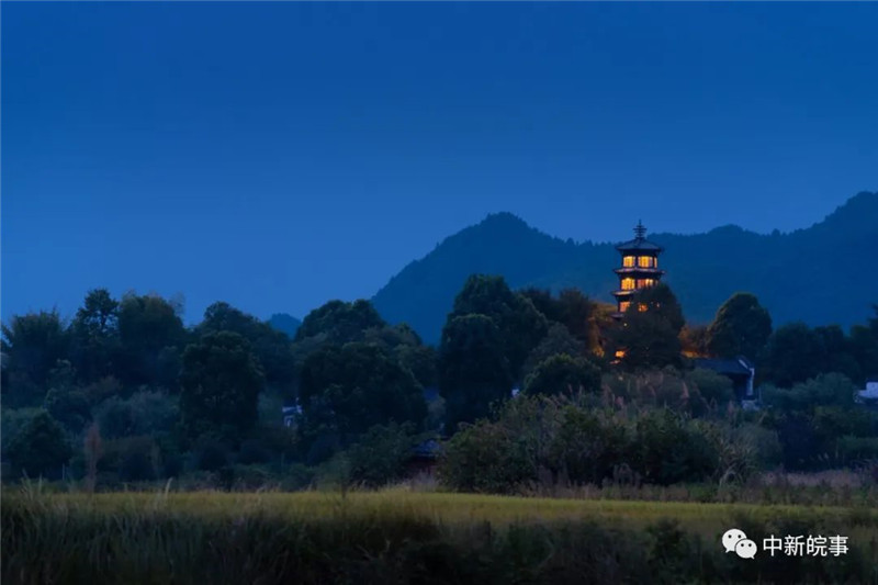 【我在黟县开民宿】交叉小径的花园：与五位文学大师跨时空相遇