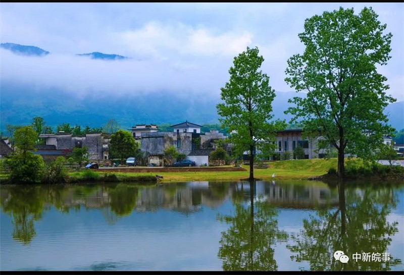 【我在黟县开民宿】交叉小径的花园：与五位文学大师跨时空相遇