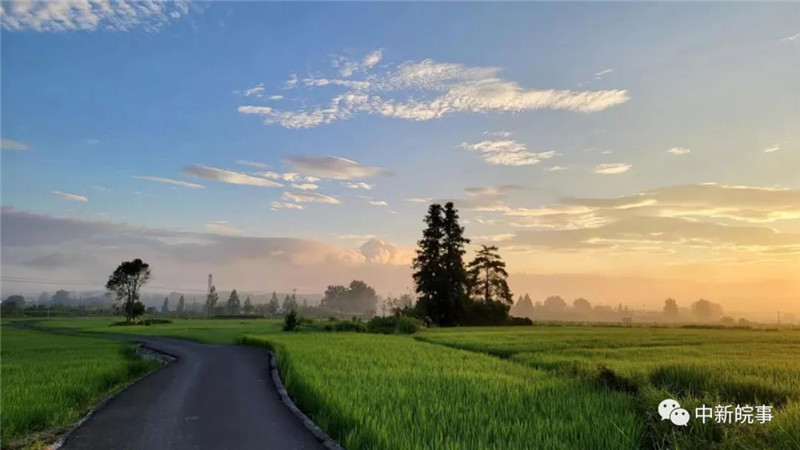 【我在黟县开民宿】交叉小径的花园：与五位文学大师跨时空相遇