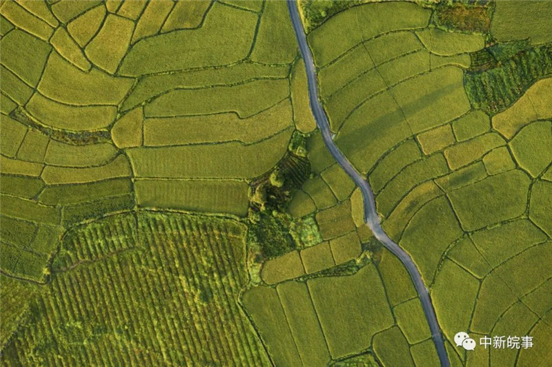 【我在黟县开民宿】交叉小径的花园：与五位文学大师跨时空相遇